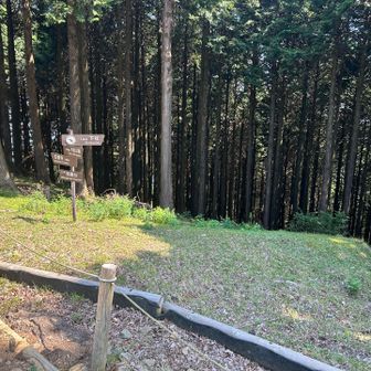 さあ、もう一踏ん張り
※この辺りから、下山ケーブル濃厚に。