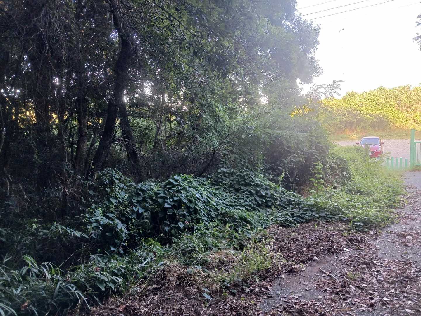 登山口に戻ってきました　雌岡山はスライドする人も多かったです
