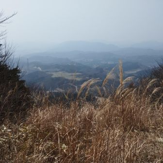 ここから飛んでいく