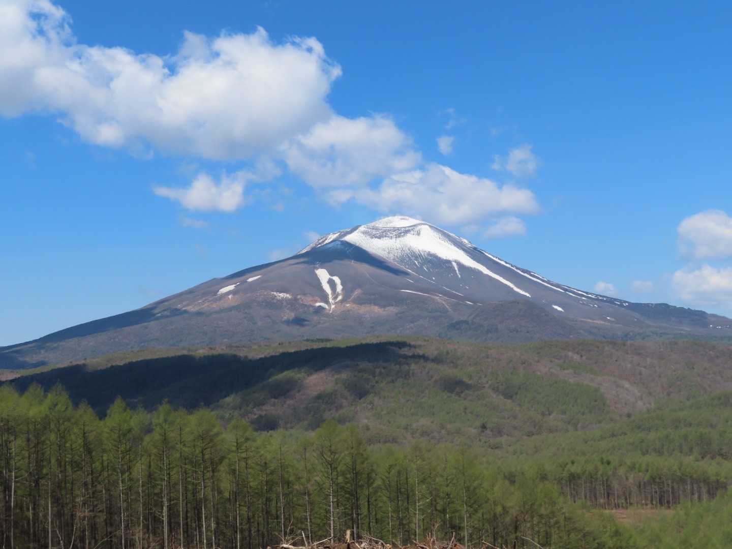 で　カラマツ林の伐採地へ戻り
くっきり　迫力ある浅間山を眺めながら休憩
いつまでも見ていられる
♪(๑ᴖ◡ᴖ๑)♪
幸せ〜💕💕💕
　　　　　　　　　　　　　　　　　　　
カラマツ林が黄葉する頃　また違った景色が見られるかな？
　　　　　　　　　　　　　　　　　　　
またね　浅間山٩( 'ω' )

