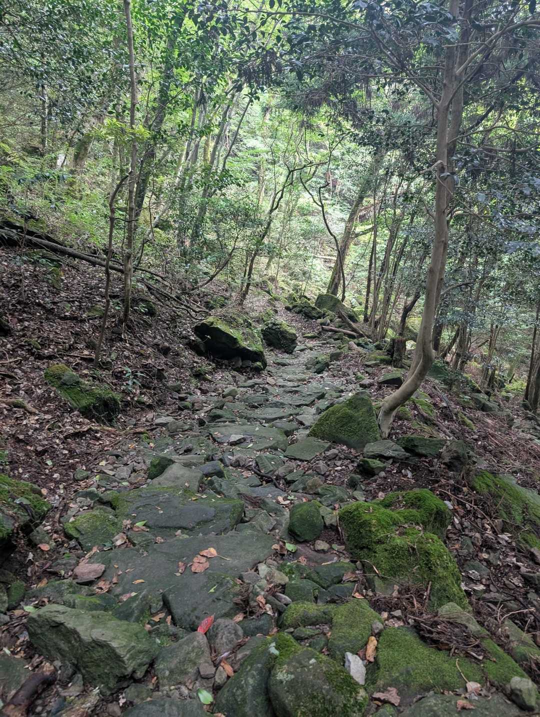 気を付けて慎重に降りた