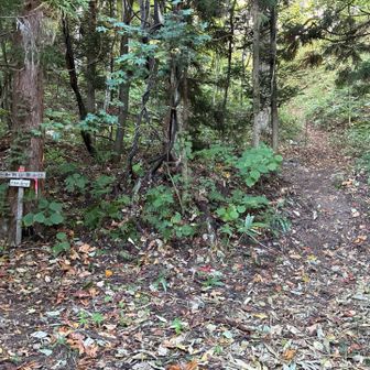 宇樽部登山口