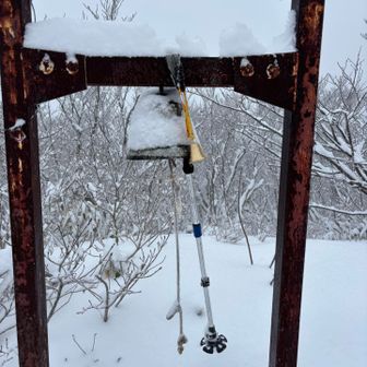 到着。🔔大事。