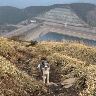 後ろは天山ダム…たぶん