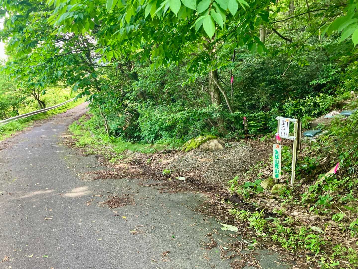 アラッ林道に出ました、ひょっとすると城山の近くまで車で行けるのかな？