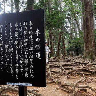 英語で意味が通じてるか微妙な気がする