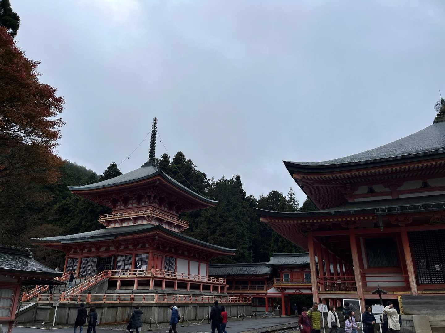 立派ですねぇ✨