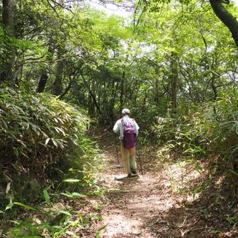 おじさん🦍「メタボ検診に引っかかったので、朝めし抜いたら足が進まん😭（逢山峡に入る前に、私のおにぎり🍙一口ガブってたけど）」
わたし👼「それシャリバテ。朝食抜くなんて絶対したらダメなのじゃないの⚡」
おじさん🦍「シャリバテだと？？なにそれ」
👼「何言ってんの❗️山歩く者が知らないなんてありえん！」