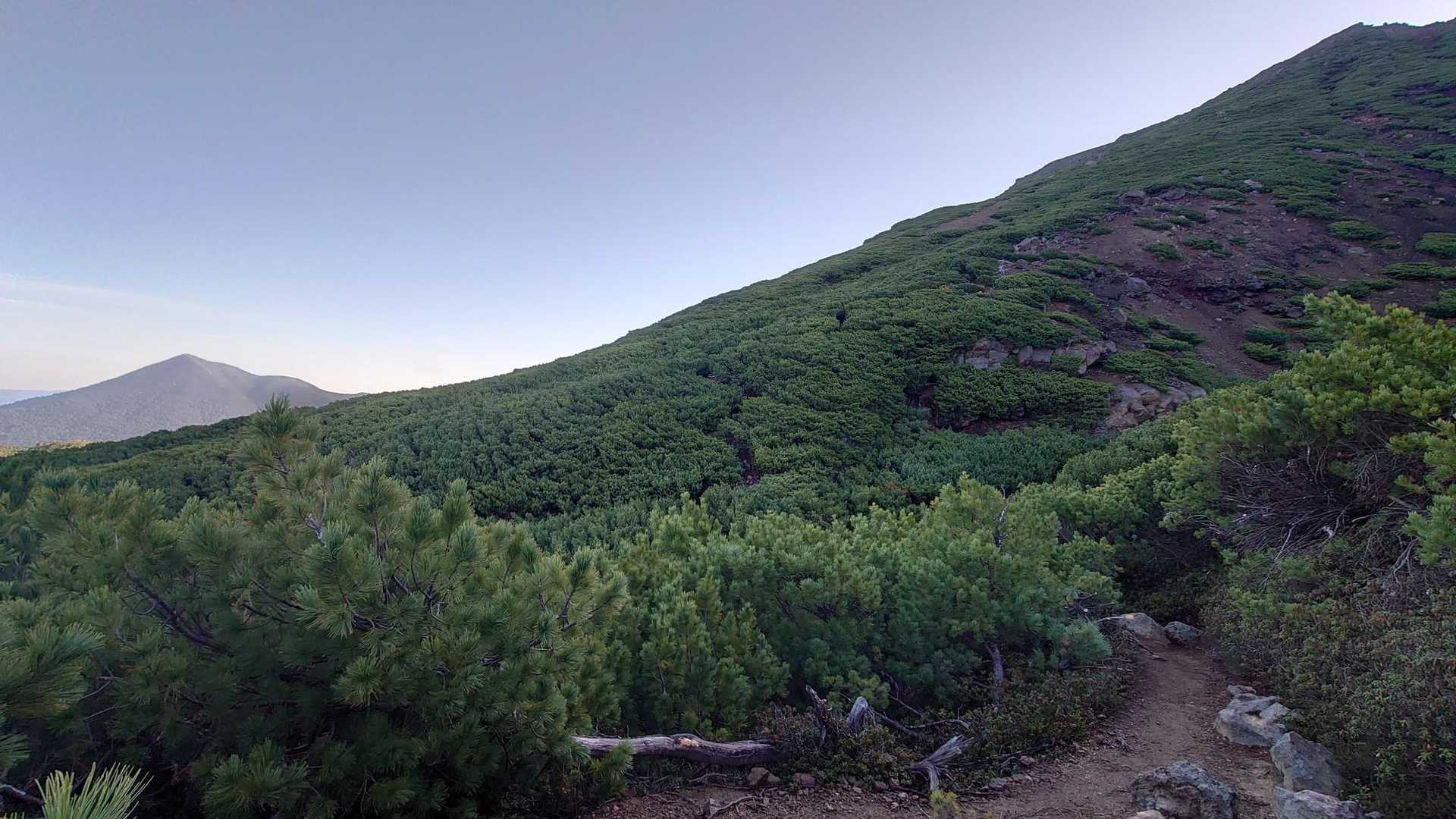 雌阿寒温泉登山口-雌阿寒岳-阿寒富士 往復コースの写真