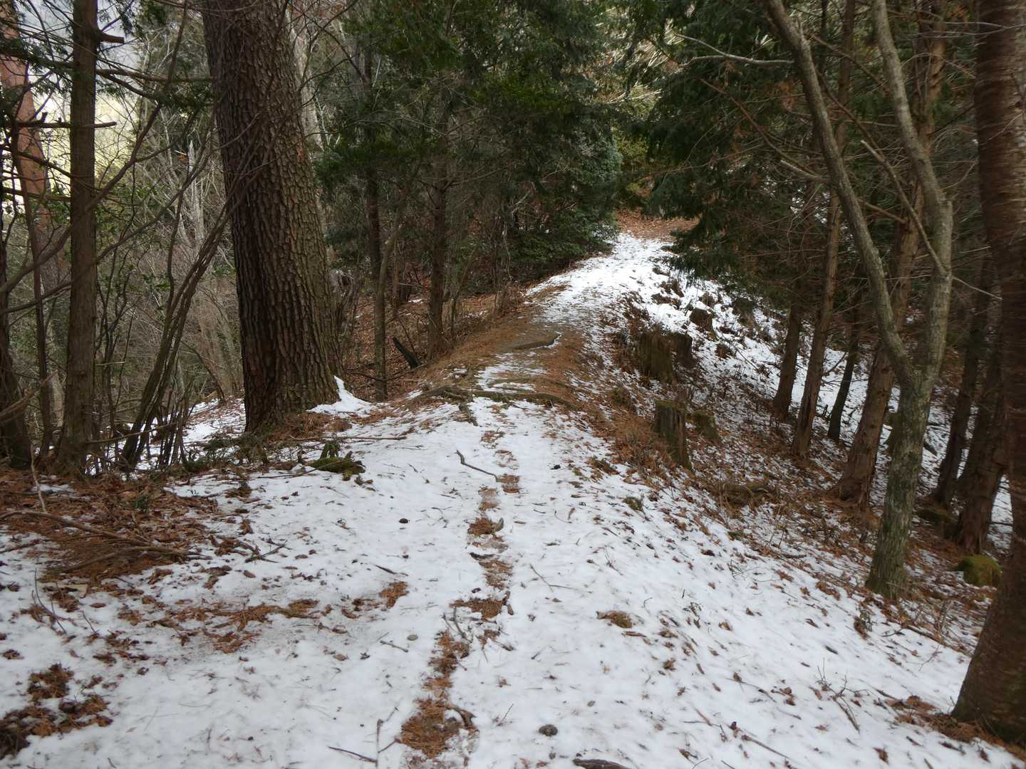 尾根の雪も僅か