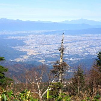リフトの終着駅。ケーブルの山麓駅からリフトを乗り継いでここまで一時間もかかりました。

米沢盆地の向こうには、大朝日,月山,鳥海山がみえています。カメラの視野角外、左手に飯豊山、右手には先日訪れた蔵王がみえてます。



