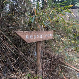 ってわけで、無事下山