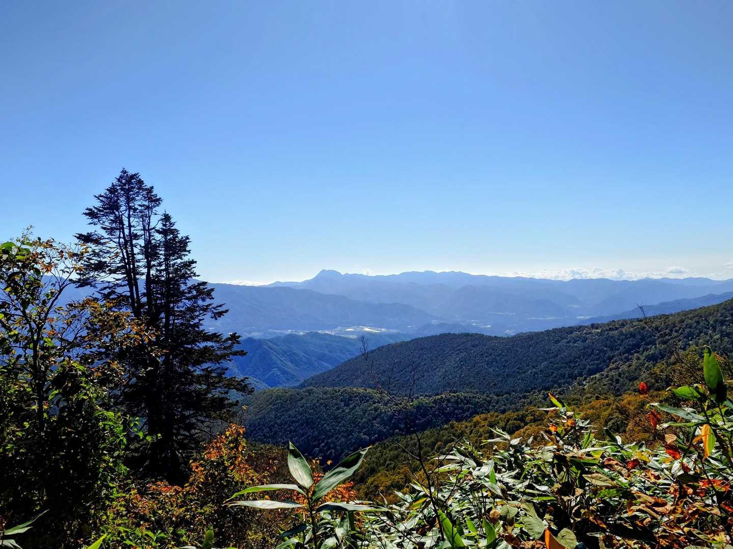 良い天気☀
晴れて☀風🍃もあり最高な日
