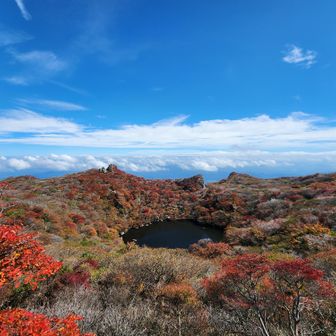 同じの連投(笑)