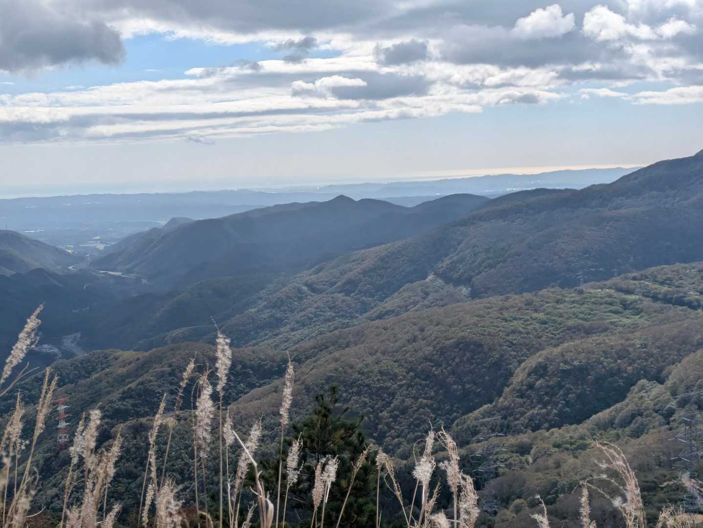 大関山-ハマグリ山-トンガリ山 往復コースの写真