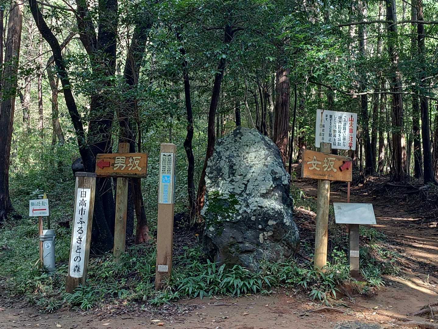 分岐
男坂だよね(笑)