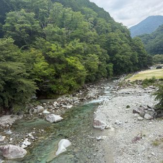 川も水がきれい🤩