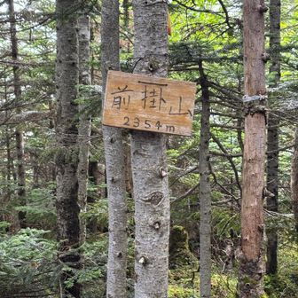 前掛山に到着⛰️
眺望なし！