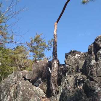 登った先
ここが一番上かな？