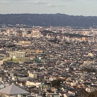 遠くに和歌山城。