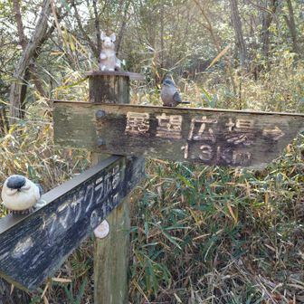 西尾根の山道や
さくら広場にある道標には
このように可愛い鳥さんやうさぎさんが
飾られています。

思わずホッコリしちゃいますよね🤗💕