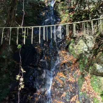 楠谷の滝。滝そのものが瀬織津姫命を祀る御神体。注連縄が張られてます。