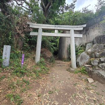 下山。
いや～暑かったからメマトイがスゴかったね🪰🪰🪰
ディート30％の虫避けスプレーもまるで効果ありませんでしたｗ

でも、ここから駐車場に戻るまでに、いつの間にかいなくなりました😅