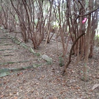 兵舎跡入口は階段下りて直ぐです。
ピンテ🩷付けました。👀
再び登ってお次へ👣💦