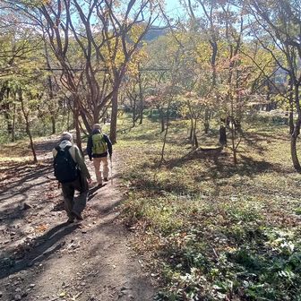 55分かけてやっと平坦に