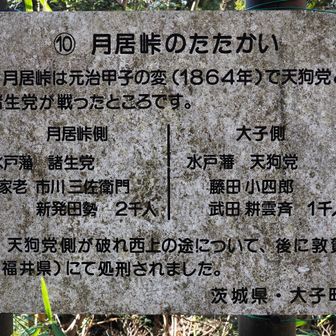 かつて、日本のことを真剣に考えていた人々がいた。
160年後、木々が伐採され、国土が穢されることなど想像もできなかっただろう。