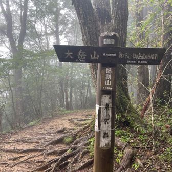 鍋割山のピークにて、軽く休憩。
今回はこの道標の後ろに向かい尾根に沿って鳩ノ巣駅まで下山するプラン。