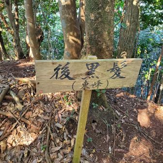 ここから軌跡を頼りに帰ります