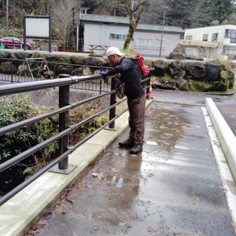 大岩登山口で信ちゃん、何かいるのか大岩川を覗いている。