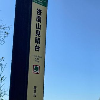 祇園山、到着‼️
本日の9座め。

この祇園山見晴台の標識のみで、「祇園山」の標識は見当たらず。
広場になっており、座ってぼ〜っとしていると。。。
近くにいた人がモグモグタイムをしようと、食べ物をバックから出し置いた途端、近くの木から黒い塊が。トンビ？カラス？🐦‍⬛　あっという間の出来事にビックリ。取られたご本人も、あれ⁉️って感じ。危害を加えられなくてよかった。
