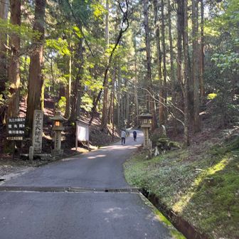 たくさんの観光客で賑わってました