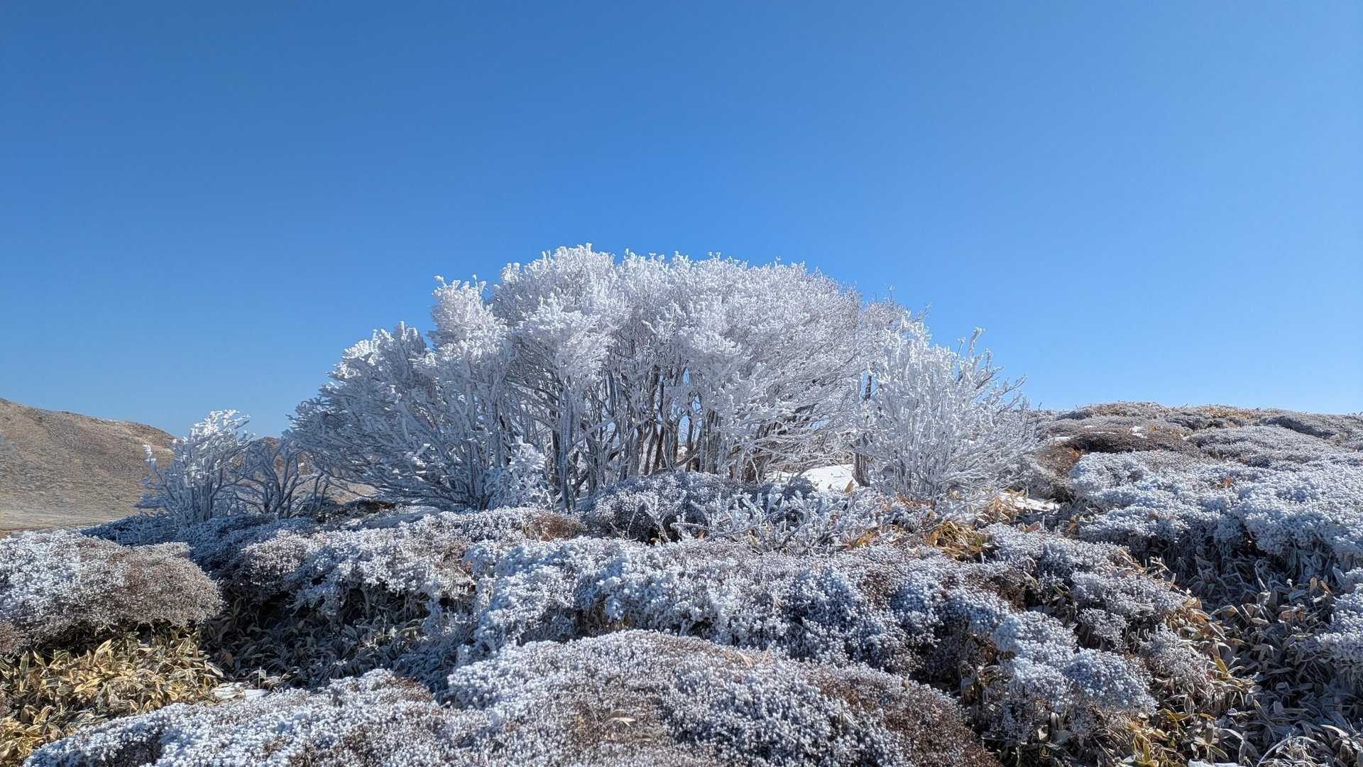 牧ノ戸峠-沓掛山-扇ヶ鼻-御池 往復コースの写真