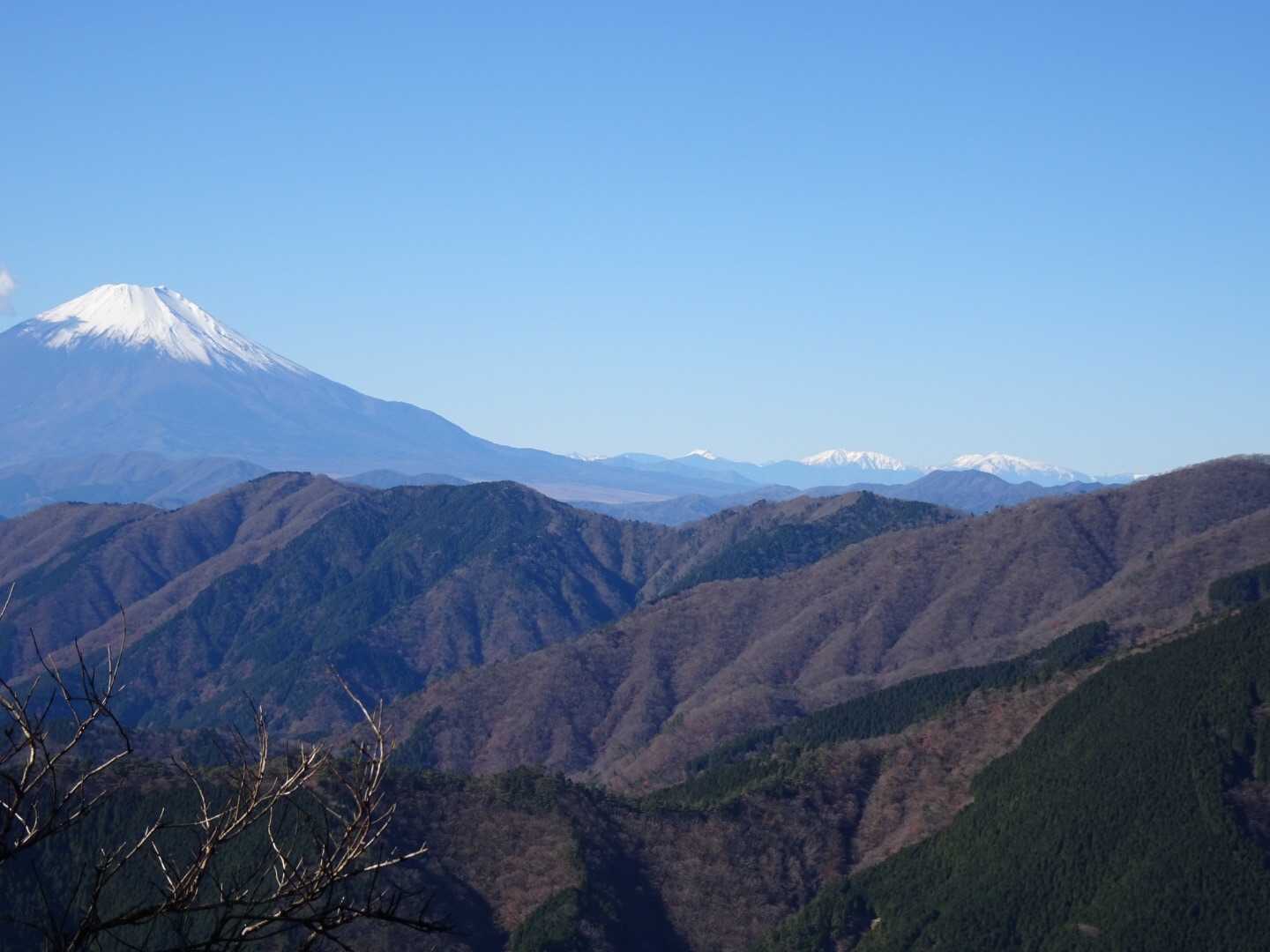 右側には南アルプス