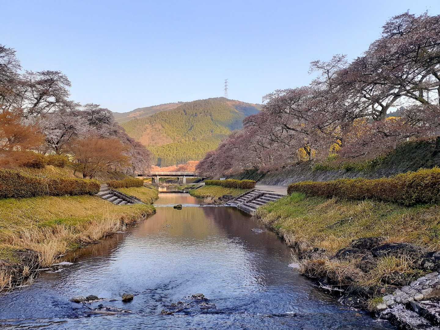 近いといつでも行けると思って行かないもんです。
来年こそは🤔