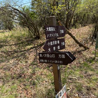 下調べほぼ無しで新鮮です。