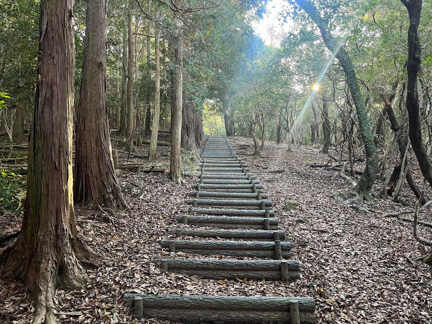 階段続きます。