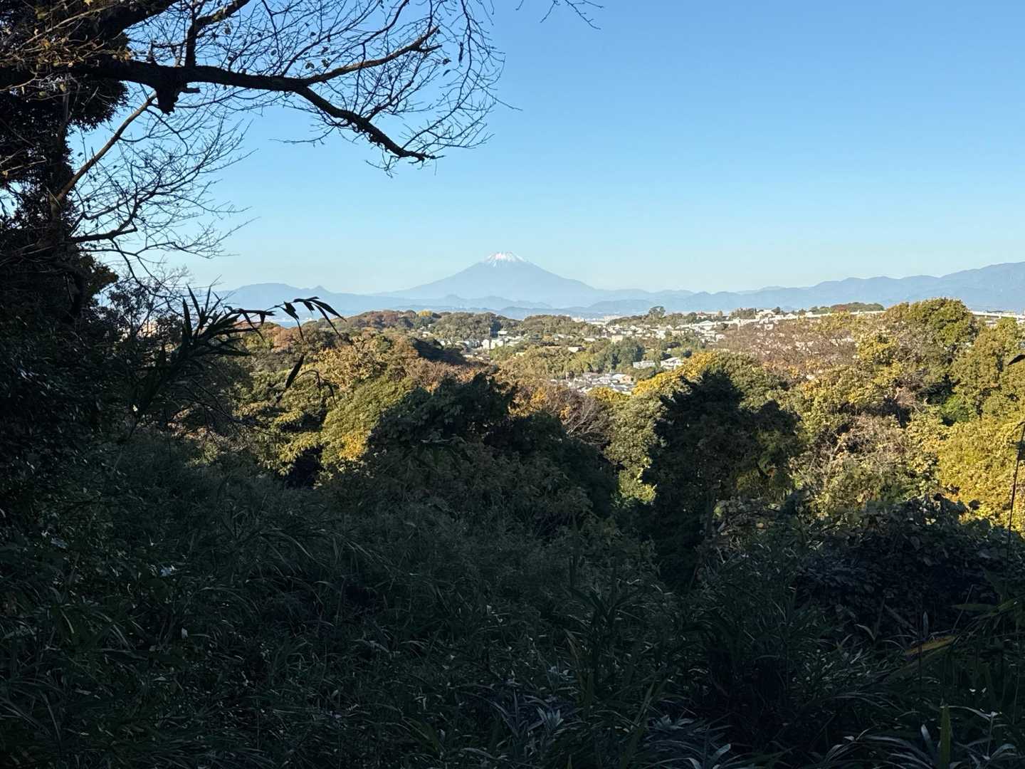 富士山大パノラマです😆