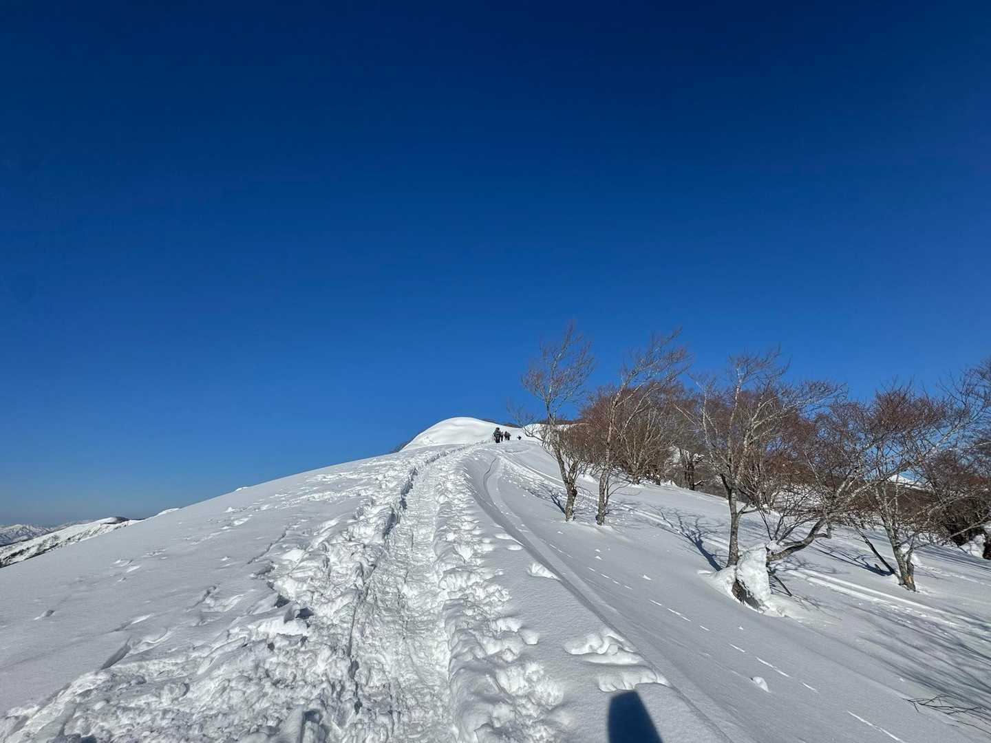 ゴンドラ山頂駅-大日ヶ岳 往復コースの写真