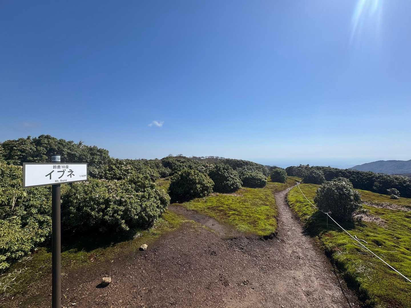 甲津畑登山口-杉峠-杉峠ノ頭-イブネ-クラシ-タイジョウ 周回コースの写真