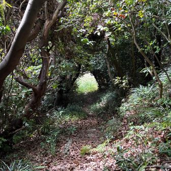 素敵な登山道💓
トンネルの先は、、、。登山口出口🚪