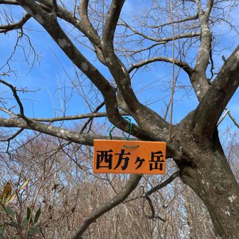 敦賀三山制覇🏔️🏔️🏔️✨