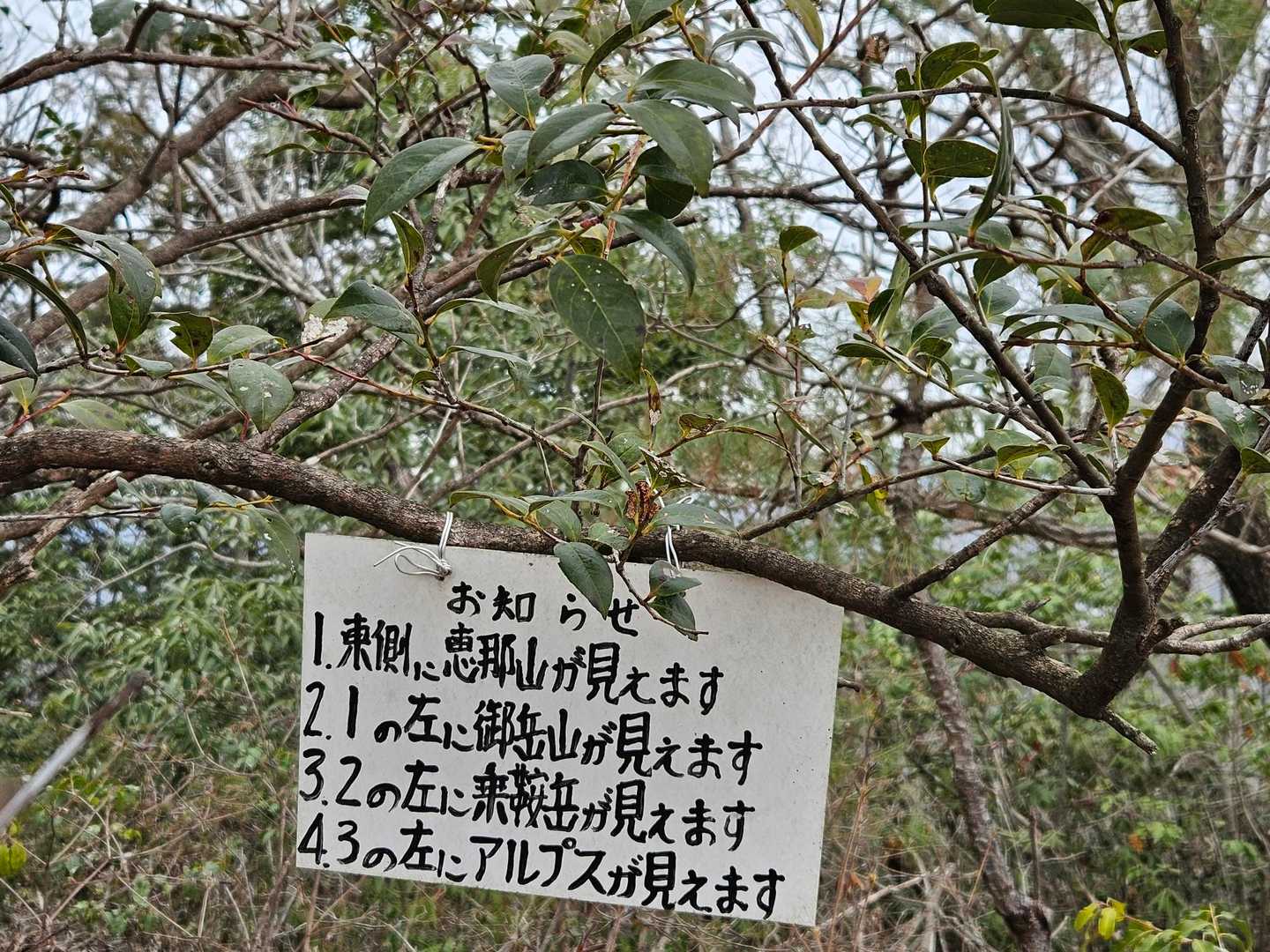 老梅山-青之木城跡-椎倉山 往復コースの写真