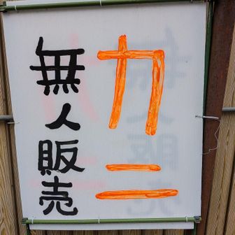 😳😳😳
カキやんね〜　普通
キがニになってますよ～