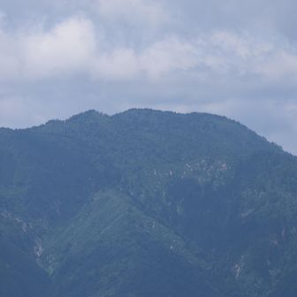 猿ヶ馬場山