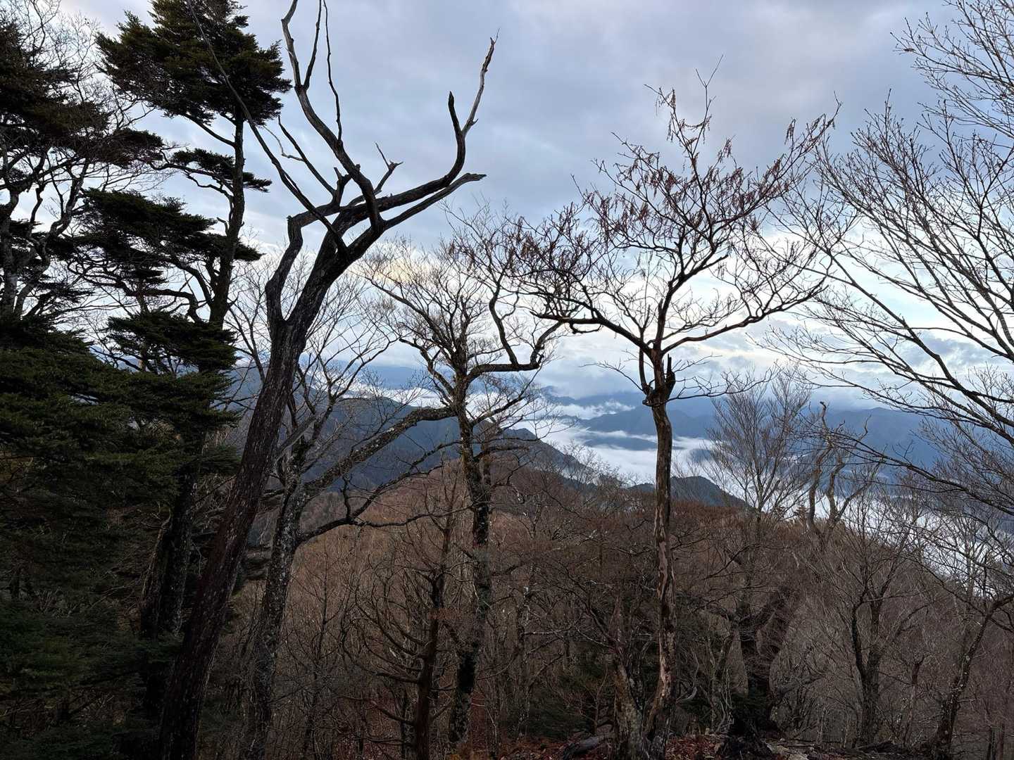 雲海