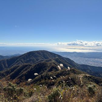 これから歩く稜線⛰️
三ノ塔へのこの眺め
ワクワクしかない😆
